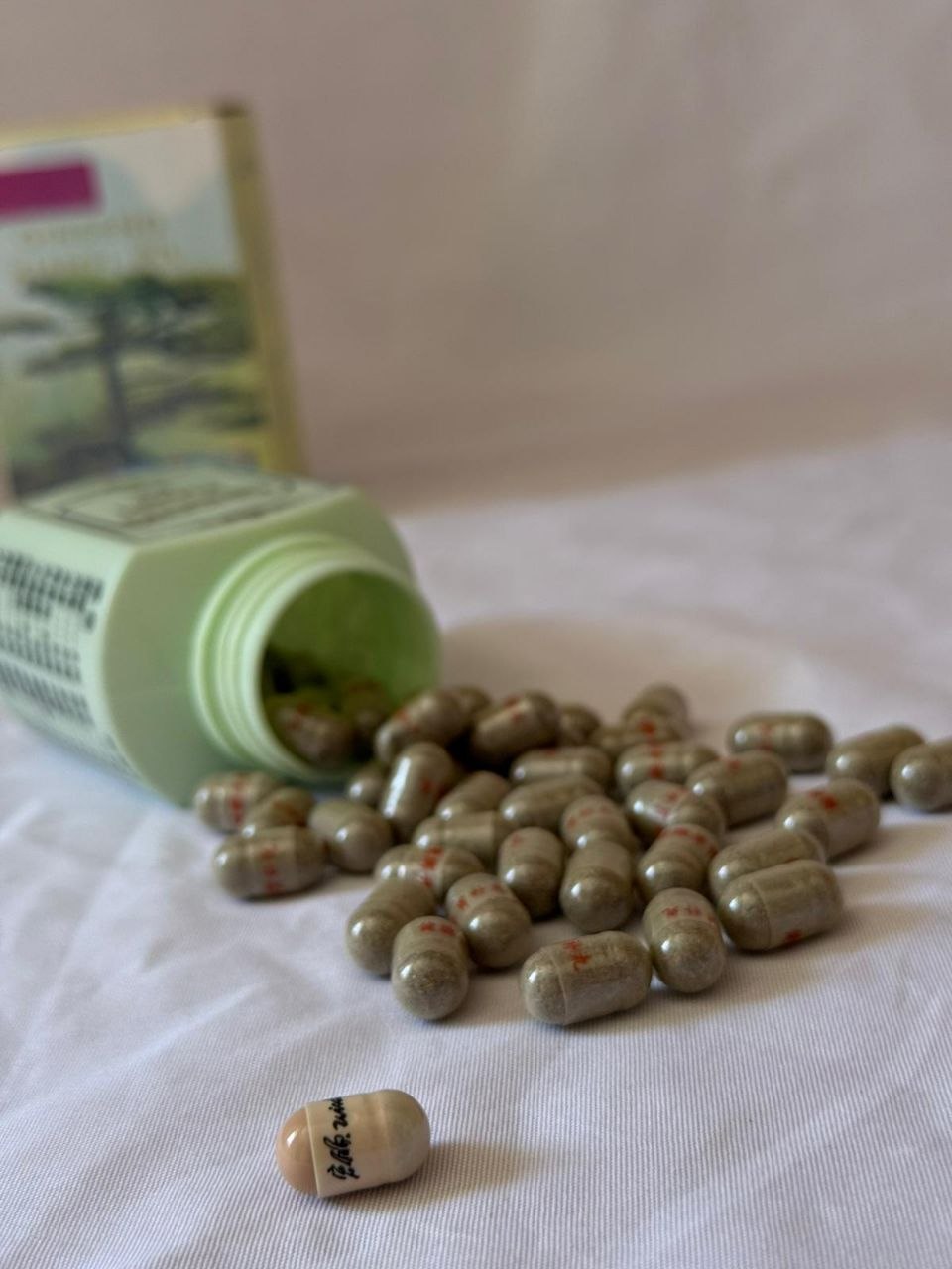 Ginseng حبوب الجينسنج الأصلية
